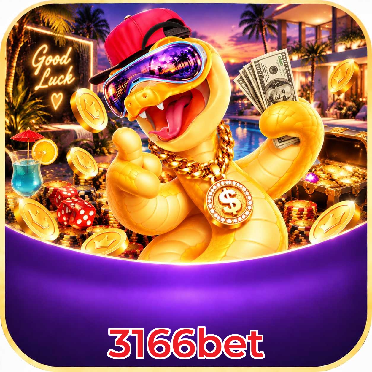 3166bet FAQ